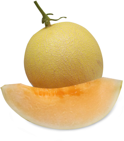 Commercial - Honeydew Clipart (600x600), Png Download