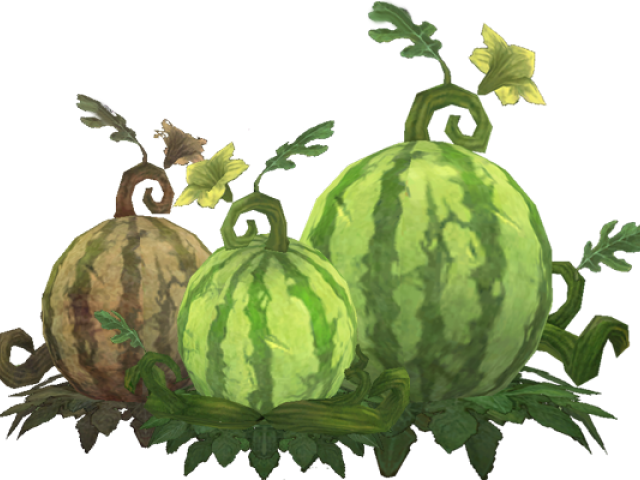Cantaloupe Clipart Cucumber Melon - Watermelon Plant Clipart Png Transparent Png (640x480), Png Download