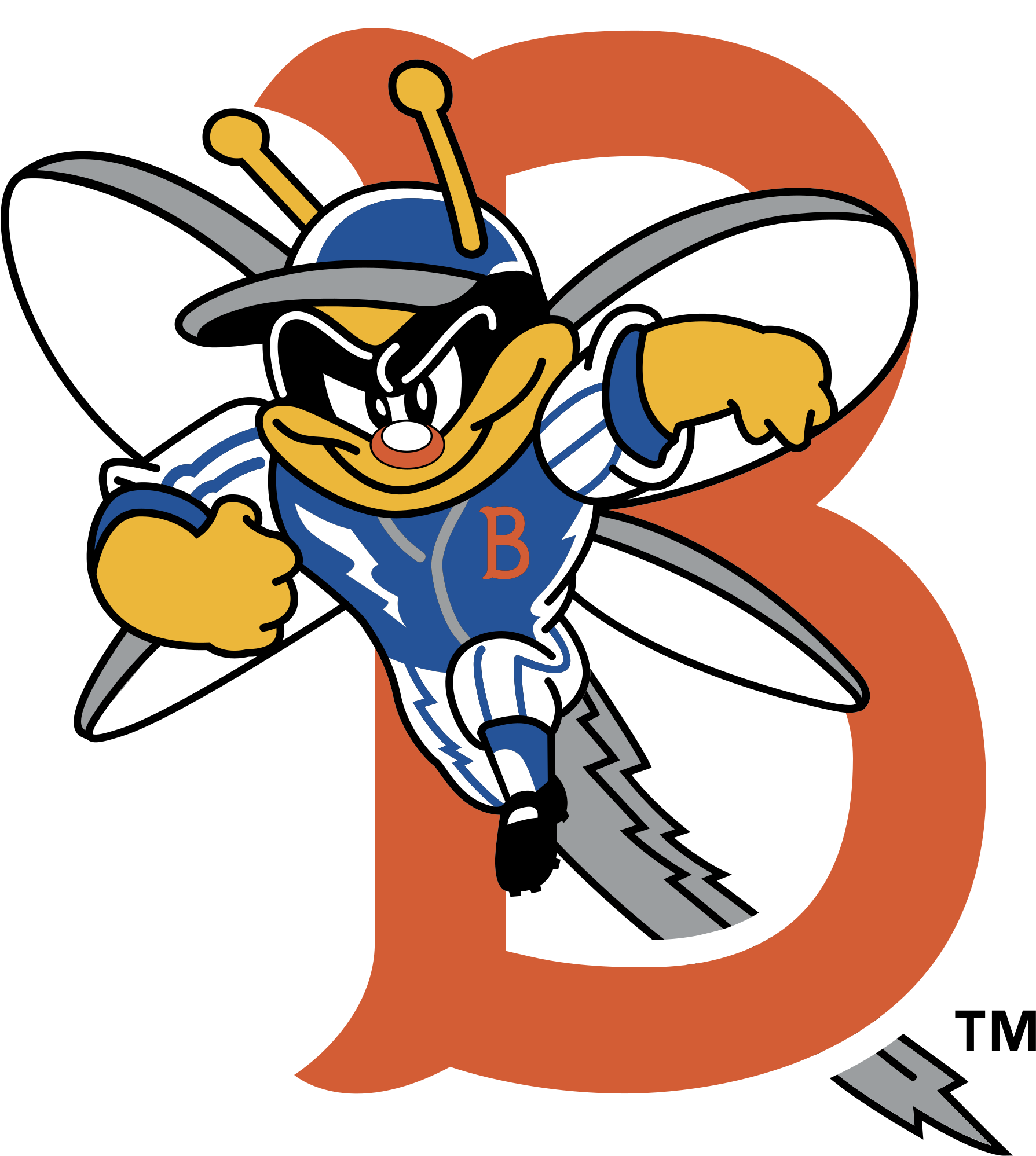 Binghamton Mets Logo Png Transparent - Binghamton Mets Logo Clipart (2400x2400), Png Download