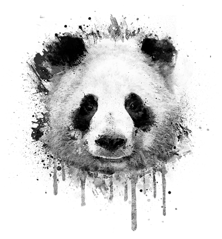 Graffiti Watercolor Panda Portrait In Black And - Panda Shirt Design Clipart (452x700), Png Download