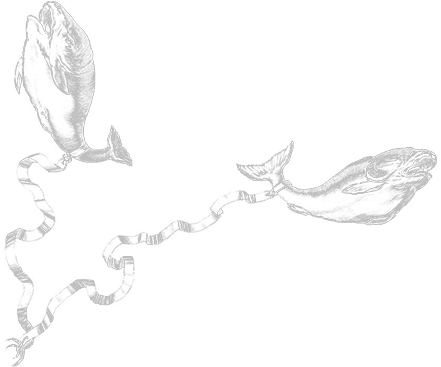 Pisces - Sketch Clipart (1024x1024), Png Download