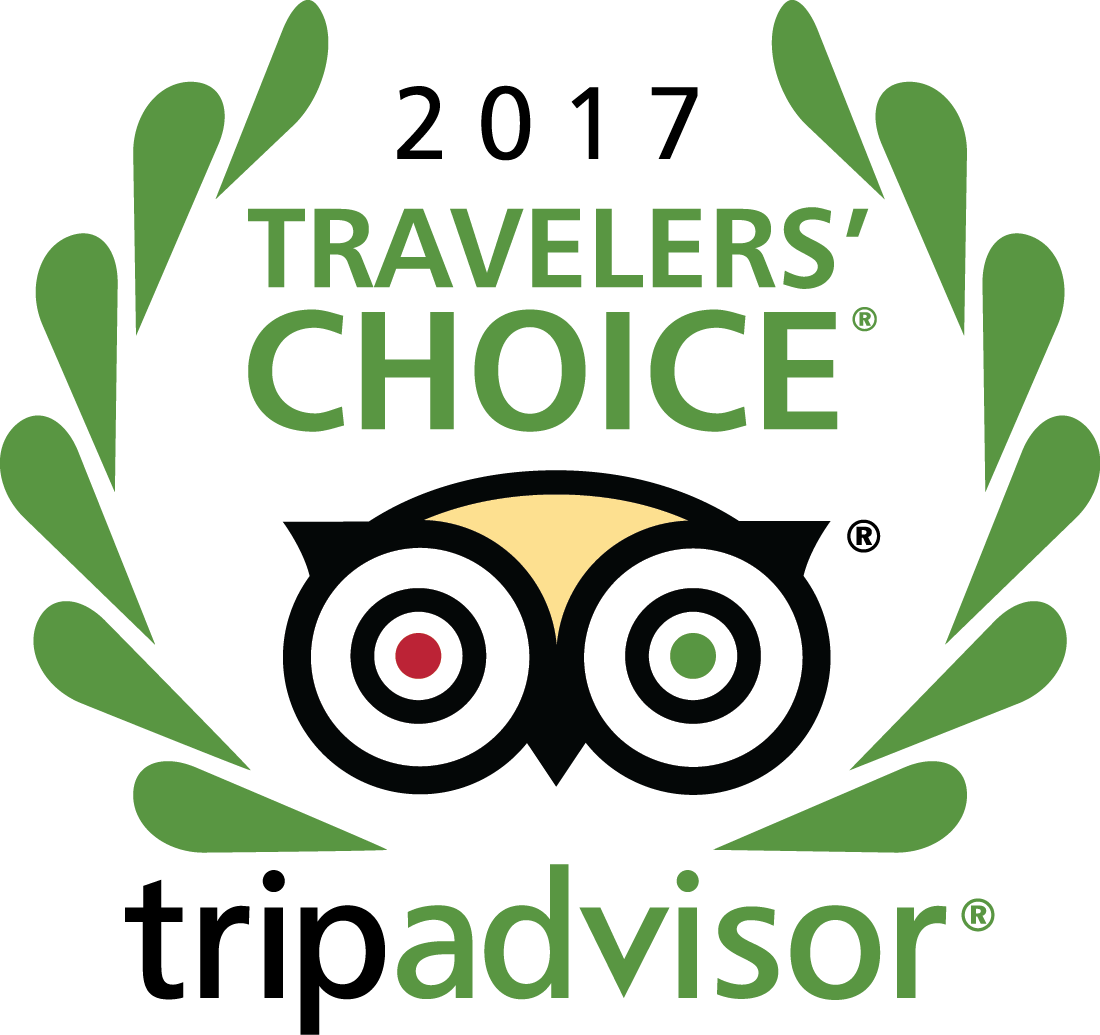 Tripadvisor 2017 Travelers Choice Awards - Tripadvisor Travellers Choice 2017 Clipart (934x904), Png Download