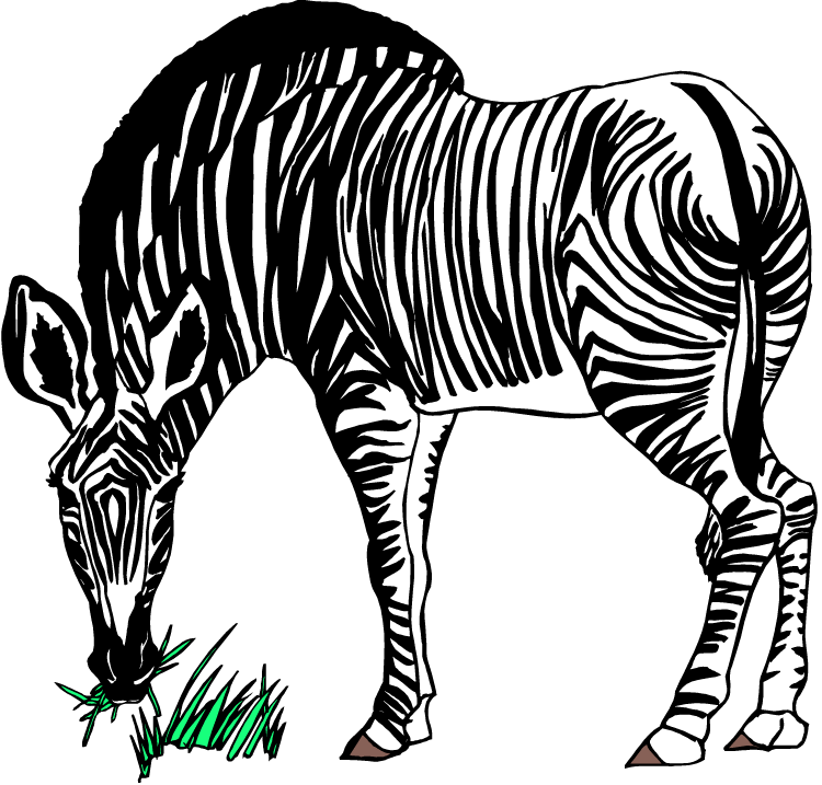 Free Zebra Clipart - Zebra Eating Grass Clipart - Png Download (750x717), Png Download