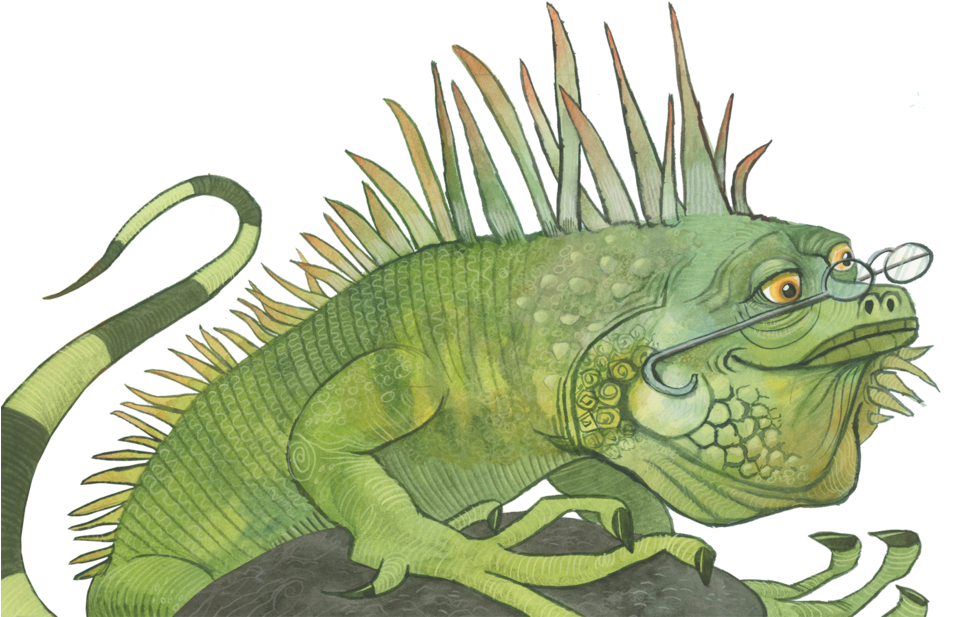 Iguana Clipart (1000x634), Png Download