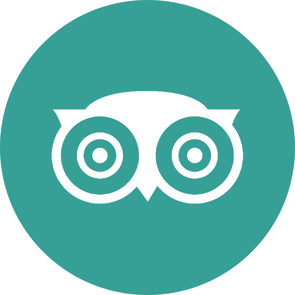 Flickrlogo, Youtubelogo, Instagramlogo, Tripadvisorlogo - Trip Advisor Icon White Clipart (1000x1000), Png Download