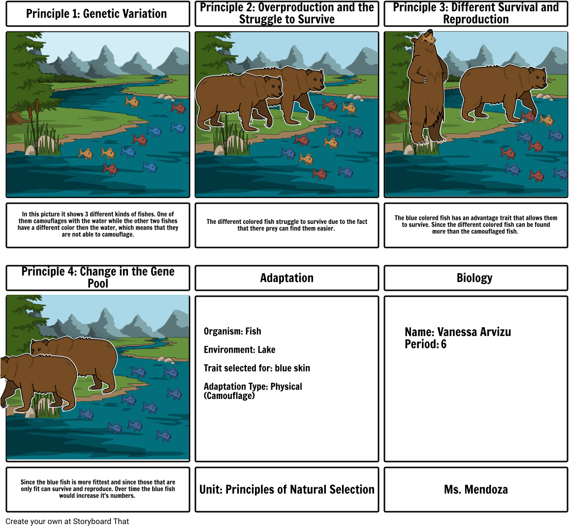 Storyboard Iguana - Storyboard Clipart (1164x1086), Png Download