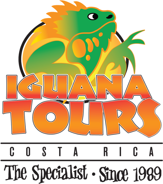 Iguana Tours / Customer Satisfaction Survey/ Encuesta - Persistence Of Vision In Animation Clipart (768x768), Png Download