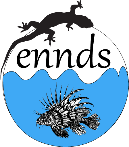 Illustration Clipart (960x560), Png Download