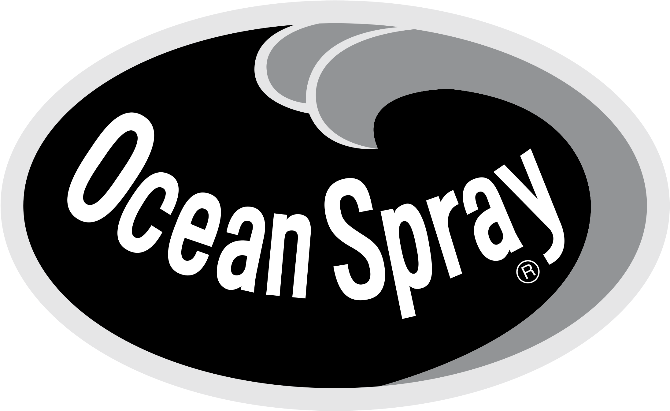 Ocean Spray Logo Png Transparent - Ocean Spray Clipart (2400x2400), Png Download