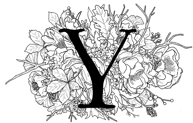 Yes Illo Y - Illustration Clipart (691x484), Png Download