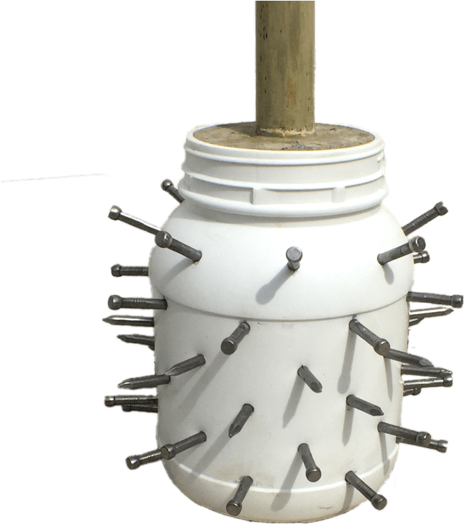 Wine Rack Clipart (800x800), Png Download