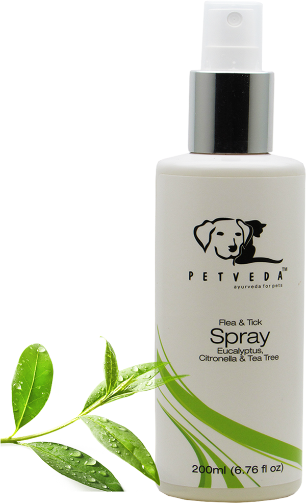 Tick & Flea Spray - Cosmetics Clipart (1200x1500), Png Download