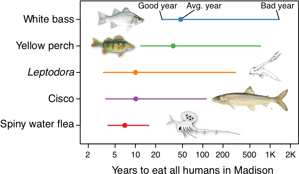 Small Invader, Big Appetite - Cisco Fish Clipart (1000x625), Png Download