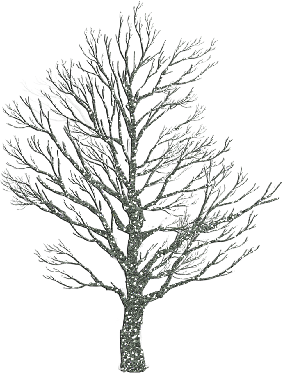 How To Draw Winter Trees - Transparent Tree Silhouette Oak Clipart (973x1280), Png Download
