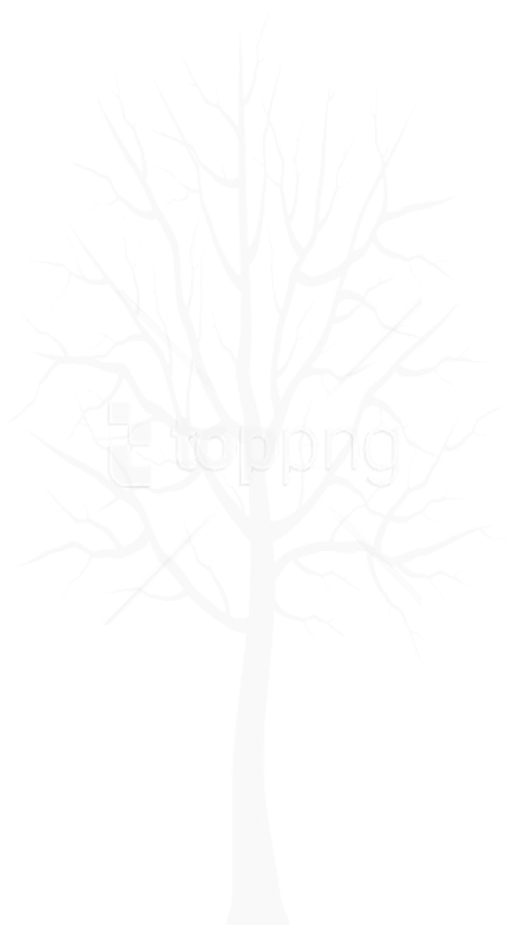 Free Png White Winter Tree Png Images Transparent - White Winter Tree Png Clipart (480x860), Png Download