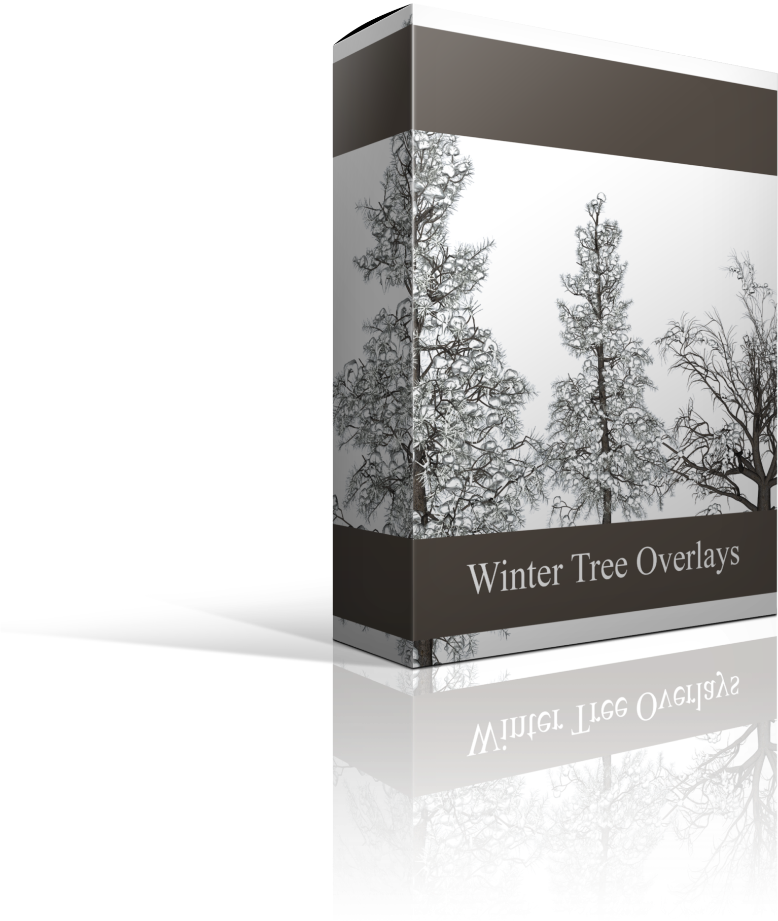 S327483270339485525 P50 I50 W2560 - Spruce Clipart (2149x2560), Png Download