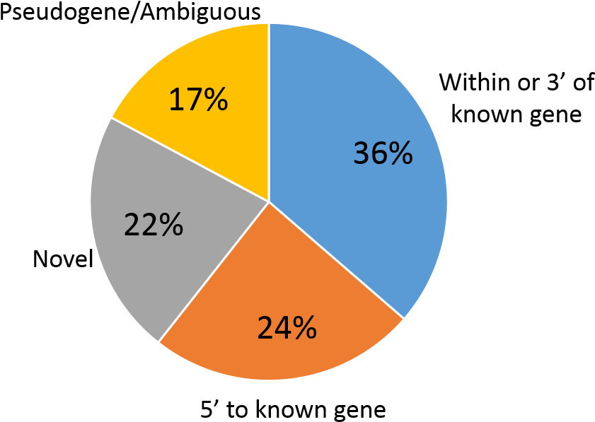 22 On A Pie Chart Clipart (1015x653), Png Download