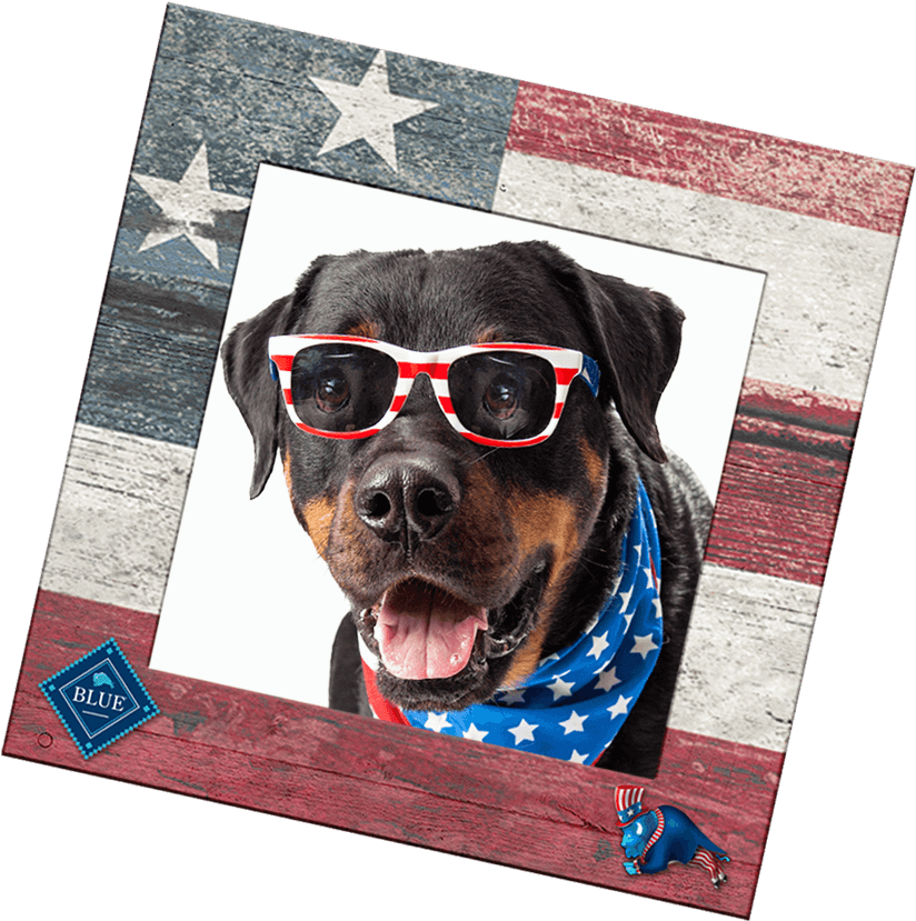 Check Out All Our Patriotic Entries In The Gallery - Dog Yawns Clipart (1002x900), Png Download