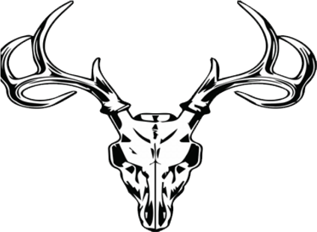Camo Clipart Deer Skull - Deer Skull Clipart - Png Download (640x480), Png Download