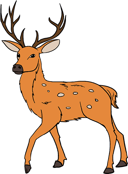White Tailed Drawing Antler Painting Sika Whitetailed - Drawing Of Deer With Colour Clipart (678x600), Png Download