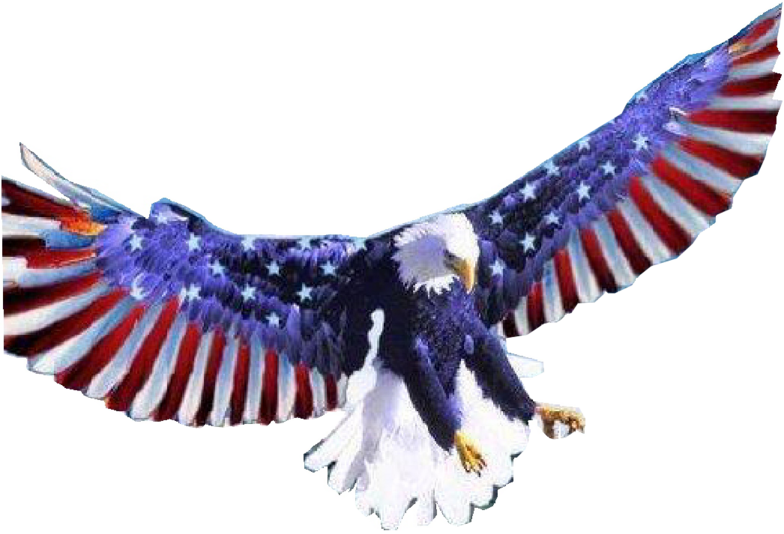 Recent Searches - American Flag Bald Eagle Transparent Clipart (784x534), Png Download