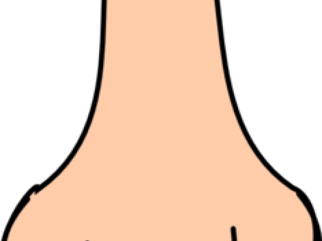 Cute Nose Cliparts - Png Download (640x480), Png Download
