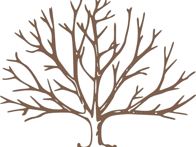 Dead Tree Clipart Tree Outline - Draw A Tree With Snow - Png Download (640x480), Png Download