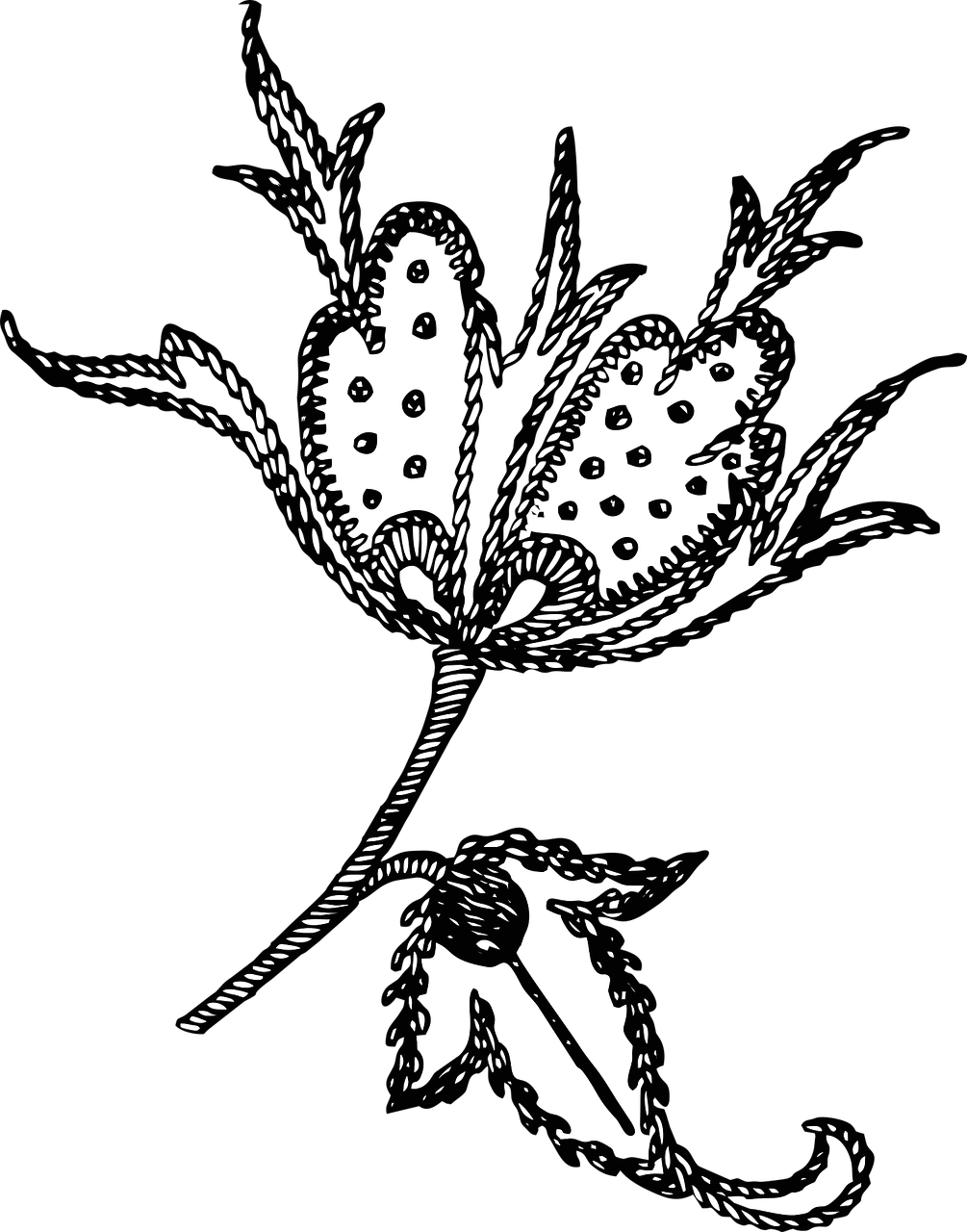 Black Embroidery Png Hd , Png Download - Black Embroidery Png Hd Clipart (1005x1280), Png Download