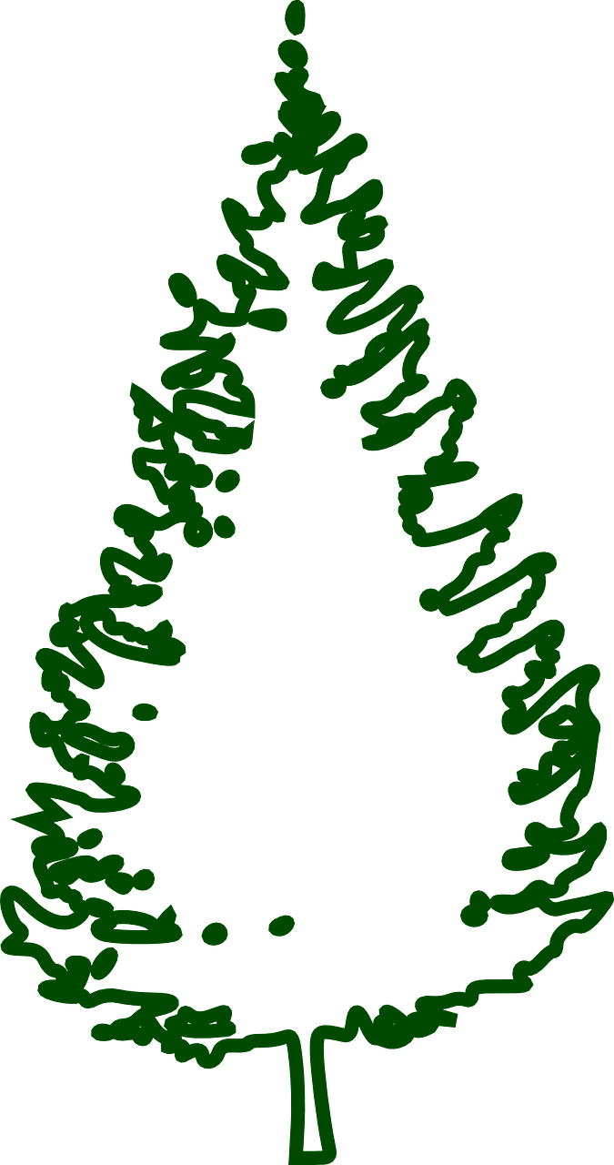 Fir Tree Conifer Tree Forest Png Image - Christmas Tree Png Outline Clipart (675x1280), Png Download