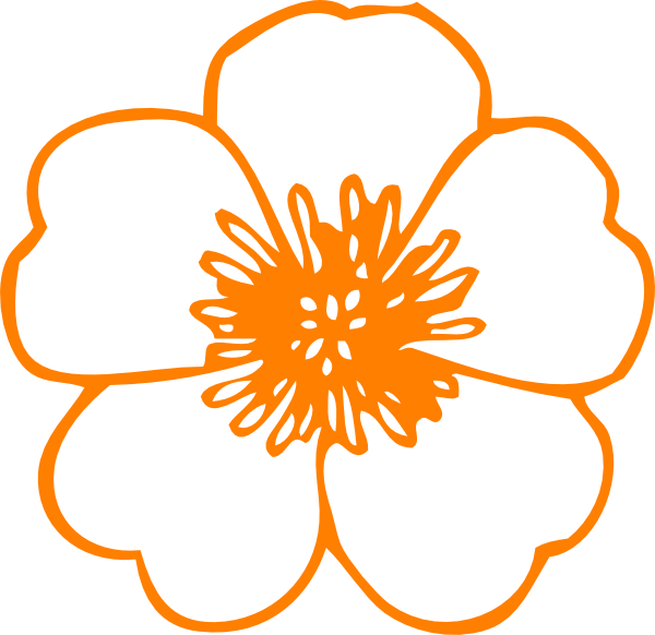 600 X 582 1 - Orange Flower Clip Art - Png Download (600x582), Png Download