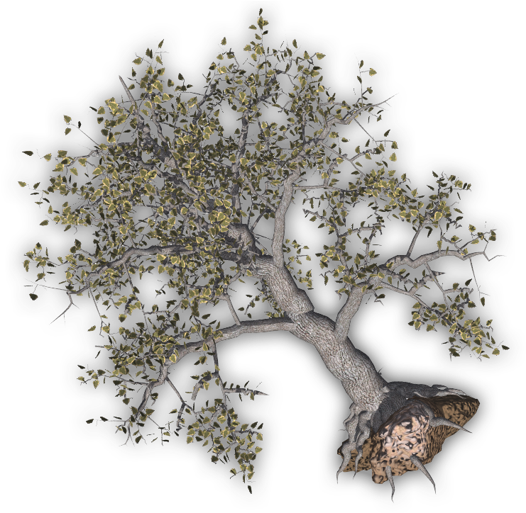 06 Feb 2009 - Uprooted Tree Png Clipart (760x723), Png Download