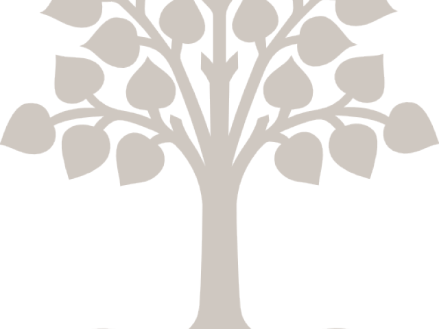 Roots Clipart Tree Outline - Bo Tree Clip Art - Png Download (640x480), Png Download