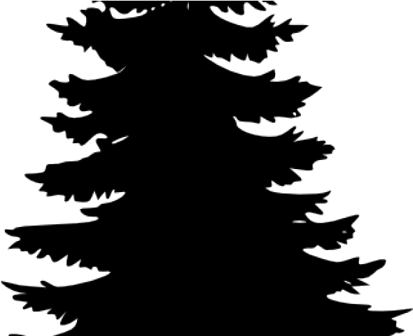 Christmas Trees Png Black Clipart (640x480), Png Download