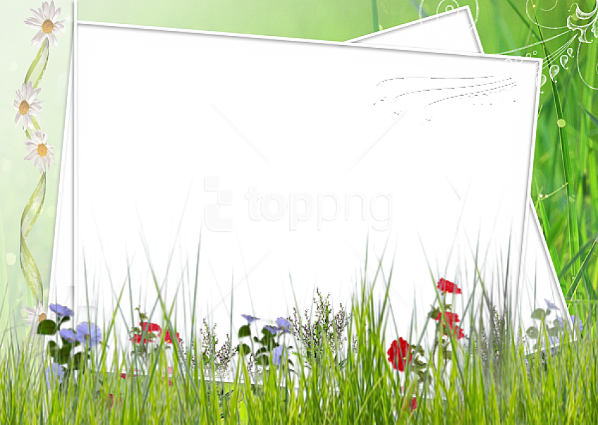 Free Png Best Stock Photos Green And White Transparent - Green Flower Borders And Frames Clipart (850x604), Png Download