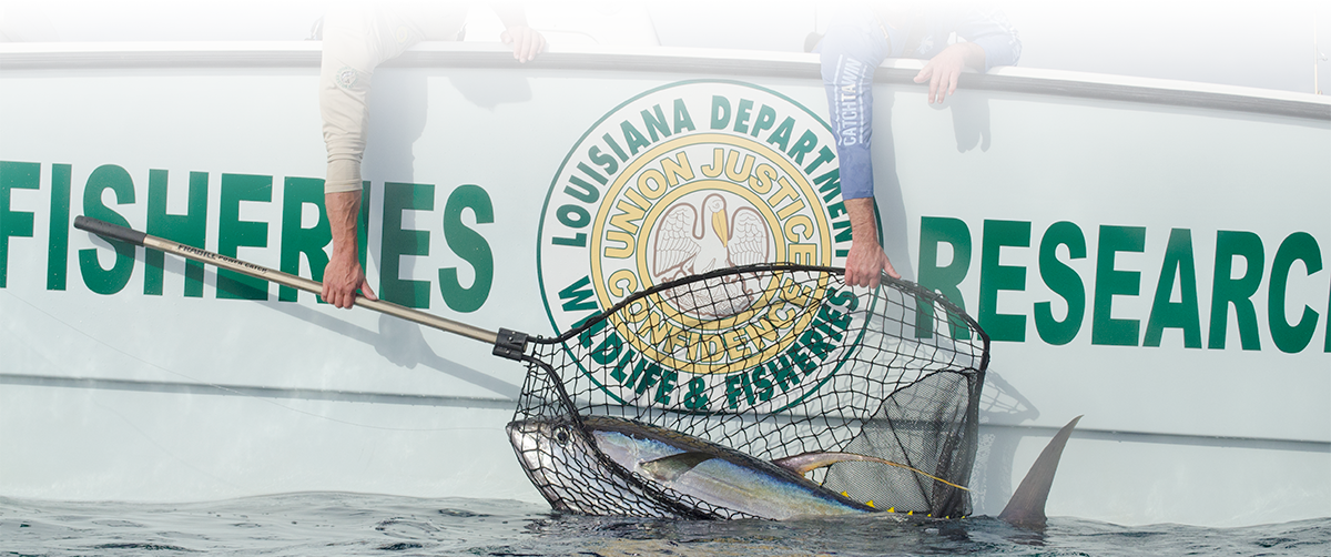 South Park Reservoir Dogs Clipart (1200x502), Png Download