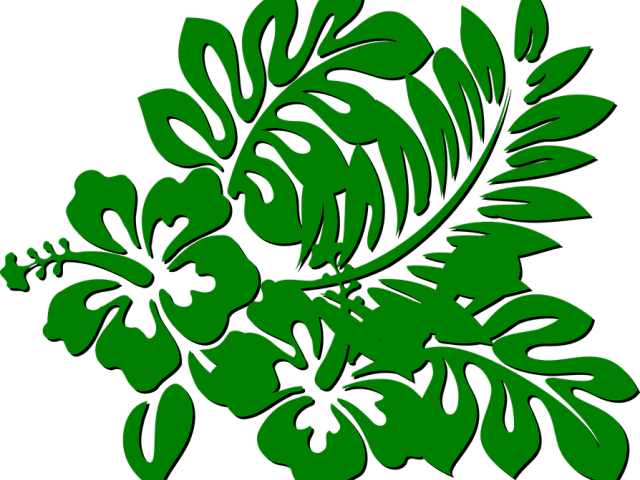Jungle Plants Cliparts - Hibiscus Clip Art - Png Download (640x480), Png Download