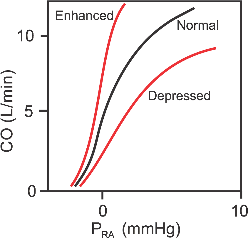 Cardiac Function Curves - Ventricular Function Curve Clipart (844x810), Png Download