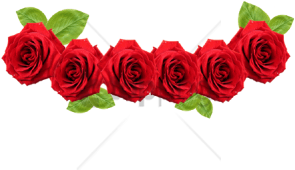 Free Png Transparent Flower Crown Png Images Transparent - Rose Flower Crown Png Clipart (850x532), Png Download