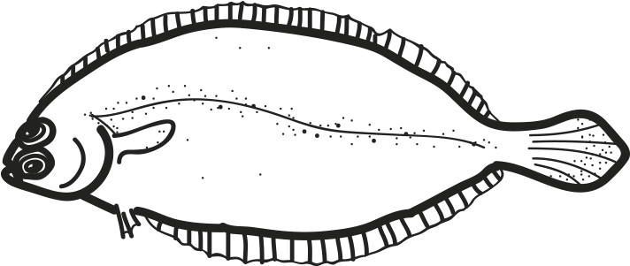 Witch Flounder - California Flounder Clipart (796x500), Png Download