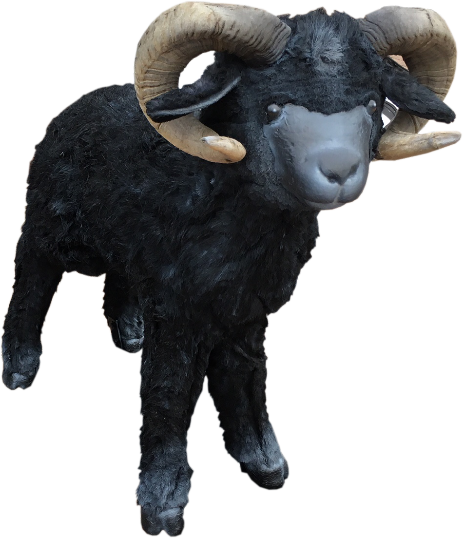 Close - Bighorn Clipart (950x1104), Png Download