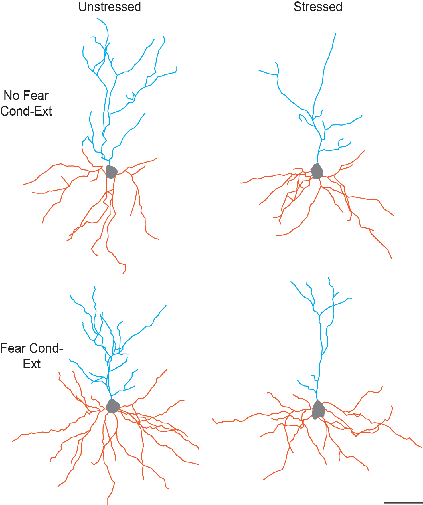 This Figure Illustrates The Separate And Combined Effects - Twig Clipart (1483x1770), Png Download