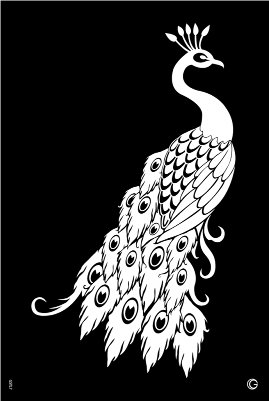 Gstl7 Proud Peacock 0f24ca75 4ac6 4d42 9c73 A428090a76da - Paper Cutting Templates Peacock Clipart (800x800), Png Download