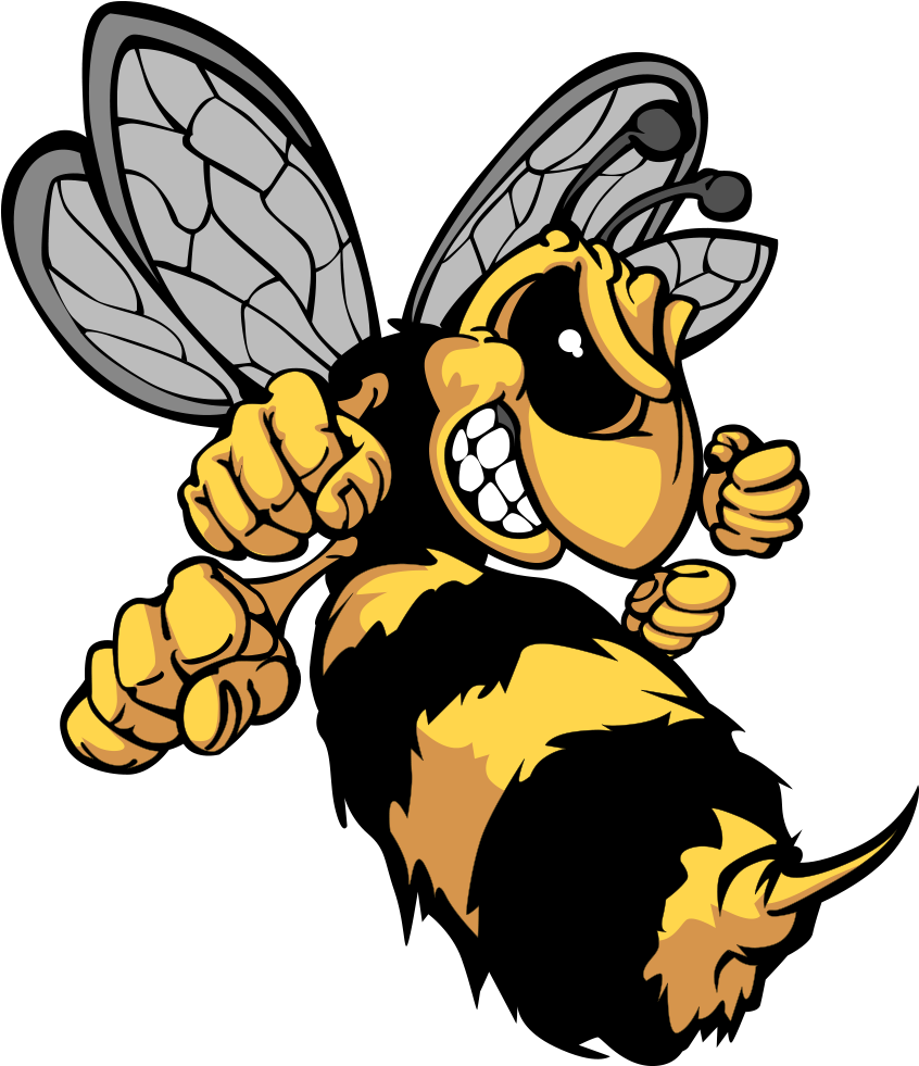Png Library Download Hornet Cartoon Clip Art Fist Head - Hornet Cartoon Transparent Png (1000x1000), Png Download