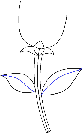 Drawn Simple Rose - Drawing Clipart (678x600), Png Download