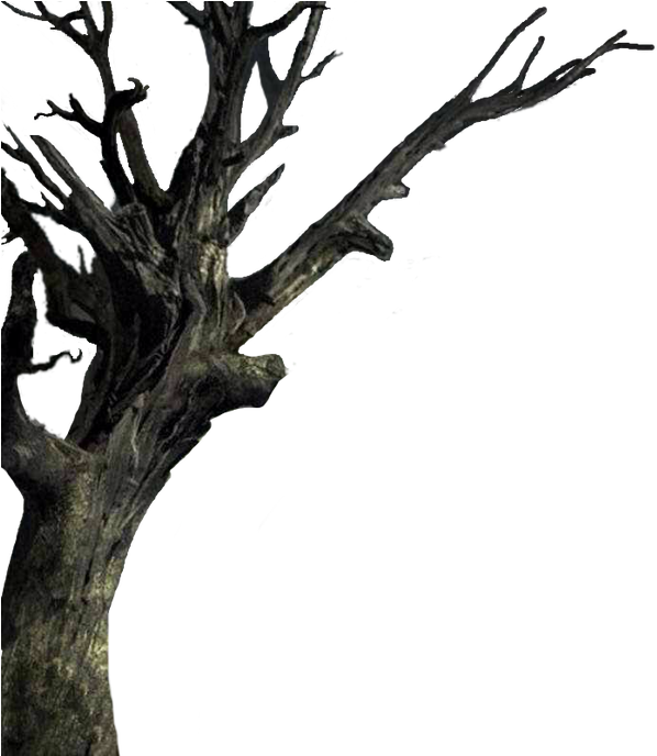 Isolated The Tree - Haunted House Clipart (598x688), Png Download