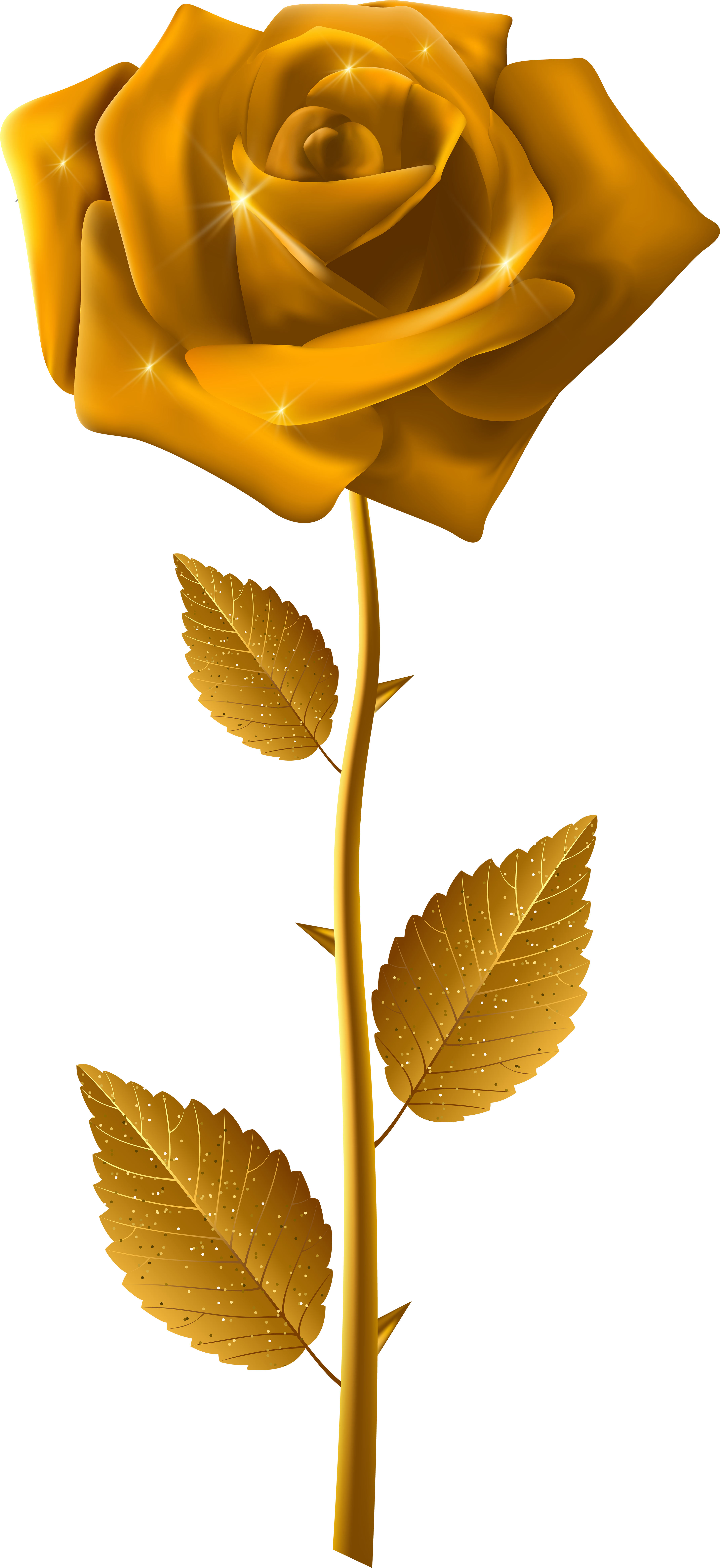Gold Rose With Steam Transparent Image - Rose Clipart (3743x8000), Png Download