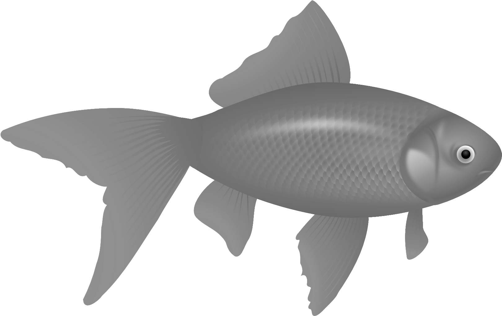 Fish Image Free Download Png Black Christian Fish Png - Fish Vectors Clipart (1969x1307), Png Download