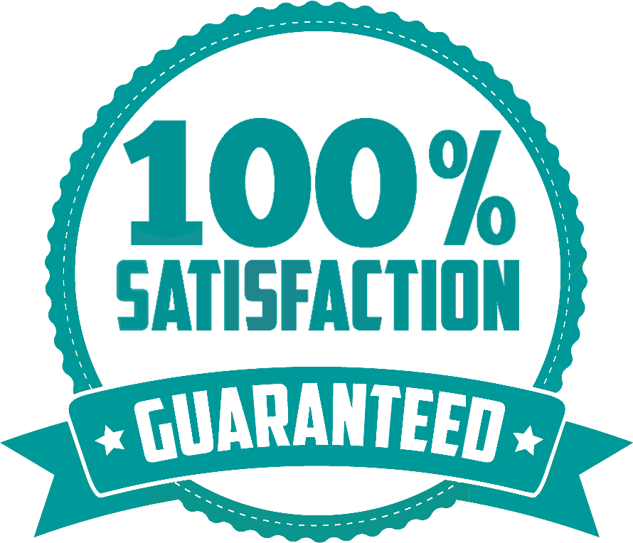 Satisfaction Guaranteed Seal Png Www Imgkid Com The - Illustration Clipart (992x871), Png Download
