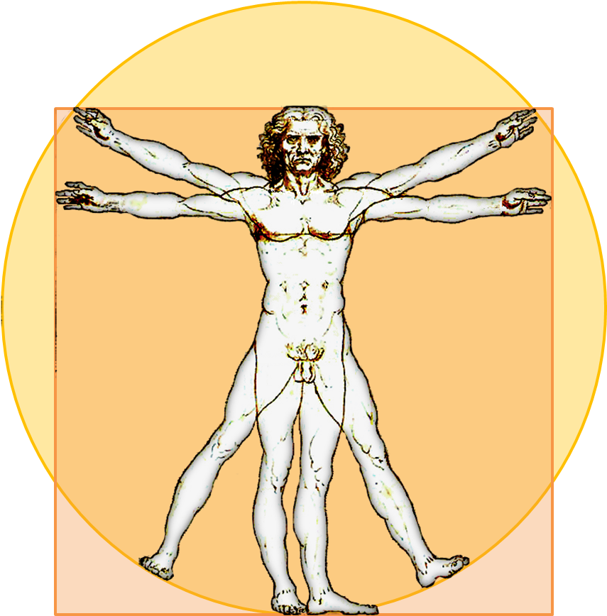 File - Vitruvian-icon - Leonardo Da Vinci Clipart (877x915), Png Download