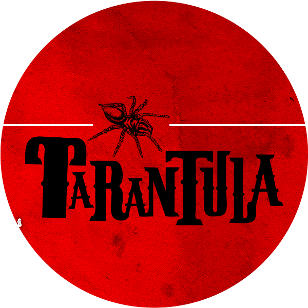 Tarantula, Folk, Wereldmuziek, Rock Band - Circle Clipart (917x648), Png Download